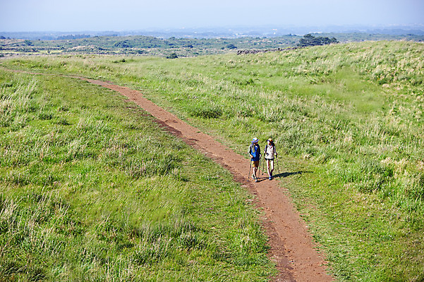 포토 JPG 주간 전신 라이프스타일 커플 여자 남자 길 여유 커플라이프 가방 배낭 지팡이 레저 한국 아웃도어 서기 들기 사람 동양인 초원 20대 성인 야외 두명 앞모습 레포츠 운동 제주도 마주보기 등산 트래킹 한국인 풀 막대기 등산복 즐거움 상쾌 청년만 성인만 국내포토 자연요소 식물 잡화 옷 감정 아시아 뷰포인트 관계 모션 건강 인종 청년 생활 파일형식