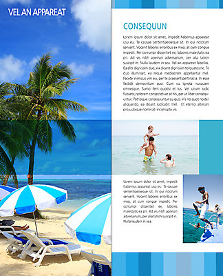 PSD 서양인 외국인 나무 식물 백인 템플릿 편집 표지디자인 북디자인 출판디자인 계절 여자 남자 딸 내지 문화 아들 어린이 예술 리플렛 바다 백그라운드 2단접지 북커버 가족 물놀이 휴가 문화예술 사람 팜플렛 여러명 성인 해변 여름 여름휴가 바캉스 야자수 파라솔 아빠 다이빙 선베드 이미지템플릿 다수 의자 관계 놀이 인종 수영 수중스포츠 파일형식 여름_계절