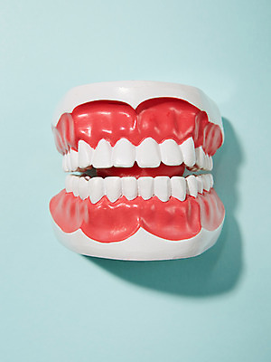 포토 JPG 스튜디오촬영 컬러 하늘색 백그라운드 실내 사람없음 의료용품 치아 오브젝트 치아모형 잇몸 국내포토 신체 의료기기 내부 파란색 소화기관 파일형식