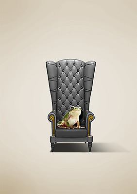 PSD 동물 편집이미지 한마리 의자 개구리 앉기 사람없음 소파 이미지편집 1 가구 모션 양서류 파일형식