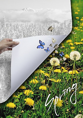 PSD 식물 동물 편집이미지 손 계절 꽃 종이 나비 곤충 자연 산 신체부위 봄 잡기 민들레 이미지편집 모션 사람 생태계 파일형식