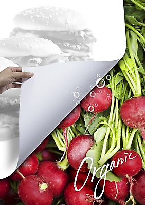 PSD 편집이미지 손 웰빙 종이 음식 캠페인 채소 패스트푸드 신체부위 자연보호 그린캠페인 햄버거 물방울 잡기 무 유기농 적환무 이미지편집 모션 자연 뿌리채소 사람 보호 인스턴트 파일형식