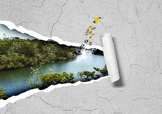 PSD 나무 식물 동물 편집이미지 종이 바다 자연 어류 사람없음 균열 열대어 찢어짐 이미지편집 모션 수중동물 생태계 파일형식