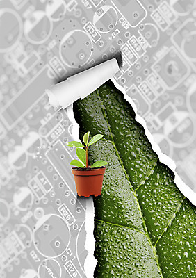 PSD 식물 편집이미지 화분 종이 잎 자연 나뭇잎 사람없음 새싹 물방울 회로판 잎맥 찢어짐 이미지편집 모션 생태계 파일형식