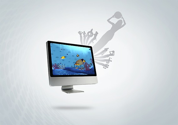 PSD 동물 편집이미지 계절 실루엣 바다 여행 공 휴가 어류 여름 여름휴가 바캉스 컴퓨터 모니터 열대어 튜브 이미지편집 촬영기법 전자제품 수중동물 파일형식 여름_계절