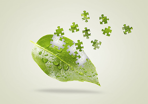 PSD 식물 편집이미지 잎 자연 나뭇잎 사람없음 물방울 퍼즐 퍼즐조각 이미지편집 조각 생태계 파일형식