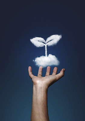 PSD 식물 구름 편집이미지 손 캠페인 자연 손짓 신체부위 새싹 자연보호 그린캠페인 이미지편집 자연요소 모션 사람 보호 생태계 파일형식