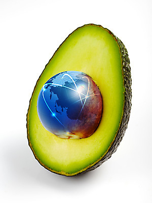 PSD 편집 편집이미지 지구 백그라운드 과일 사람없음 환경 아보카도 이미지편집 파일형식