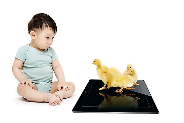 전신 PSD 동물 편집 편집이미지 남자 백그라운드 병아리 한명 동양인 태블릿 한국인 아기 남자만 남자한명만 아기만 남자아기만 남자아기한명만 이미지편집 1 조류 사람 인종 전자제품 스마트기기 파일형식