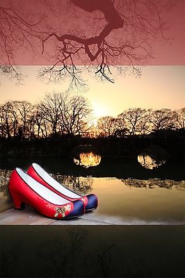 PSD 나무 식물 편집 편집이미지 실루엣 백그라운드 신발 사람없음 강 꽃신 가교 이미지편집 건축물 전통소품 촬영기법 파일형식