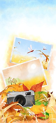PSD 계절 백그라운드 단풍 일러스트 자연 나뭇잎 풍경 사람없음 카메라 가을풍경 가을 잠자리 기념사진 가을배경 국내일러스트 곤충 잎 전자제품 생태계 파일형식 가을_계절