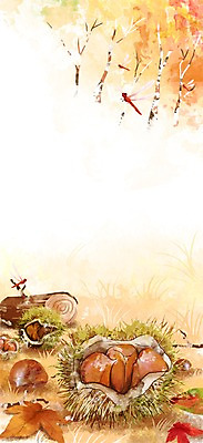 PSD 나무 계절 열매 낙엽 일러스트 자연 풍경 사람없음 가을풍경 가을 잠자리 밤송이 나무토막 국내일러스트 식물 곤충 잎 밤_견과류 생태계 파일형식 가을_계절