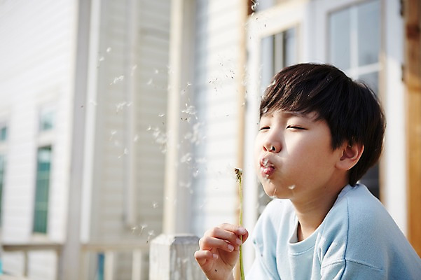 포토 JPG 주간 남자 꽃 초등학생 어린이 한명 들기 사람 동양인 소년 상반신 야외 아웃포커스 눈감음 한국인 발코니 민들레 불기 남자만 남자한명만 어린이만 소년만 소년한명만 국내포토 자연요소 식물 1 학생 모션 촬영기법 인종 파일형식