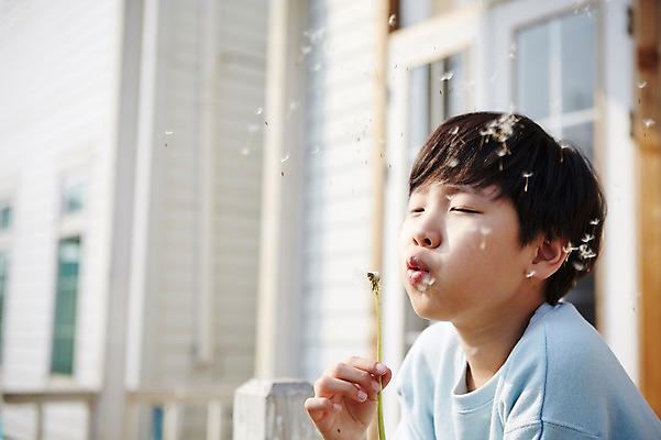 포토 JPG 주간 남자 꽃 초등학생 어린이 한명 들기 사람 동양인 소년 상반신 야외 아웃포커스 눈감음 한국인 발코니 민들레 불기 남자만 남자한명만 어린이만 소년만 소년한명만 국내포토 자연요소 식물 1 학생 모션 촬영기법 인종 파일형식