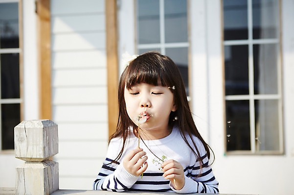포토 JPG 주간 여자 꽃 어린이 한명 들기 사람 동양인 소녀 상반신 야외 앞모습 아웃포커스 유치원생 한국인 발코니 민들레 불기 여자만 여자한명만 어린이만 소녀만 소녀한명만 국내포토 자연요소 식물 1 뷰포인트 모션 촬영기법 인종 파일형식