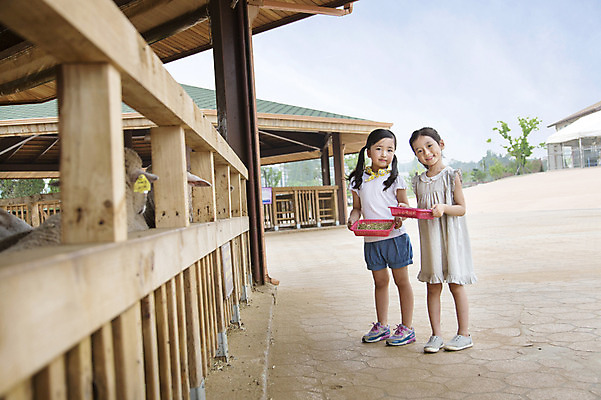 포토 JPG 주간 전신 여자 어린이 서기 들기 사람 동양인 소녀 야외 두명 목장 유치원생 한국인 체험학습 체험 먹이 즐거움 목장체험 여자만 어린이만 소녀만 국내포토 자연요소 감정 컨셉 모션 인종 파일형식