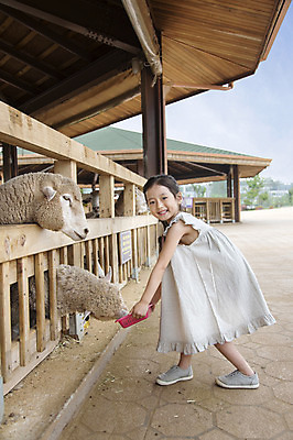 포토 JPG 주간 전신 동물 여자 어린이 포유류 한명 서기 웃음 들기 사람 동양인 소녀 야외 옆모습 목장 유치원생 한국인 양 체험학습 체험 먹이 즐거움 목장체험 여자만 여자한명만 어린이만 소녀만 소녀한명만 국내포토 자연요소 1 감정 뷰포인트 컨셉 모션 표정 인종 파일형식