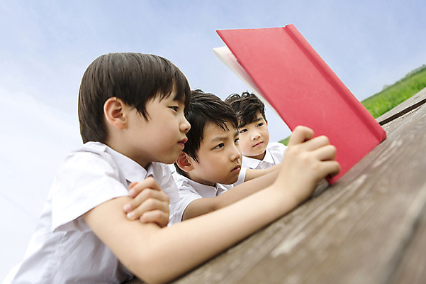 포토 JPG 주간 어린이교육 남자 어린이 사람 동양인 소년 상반신 야외 책 세명 친구 독서 유치원생 한국인 야외교실 남자만 어린이만 소년만 국내포토 자연요소 교육 교실 관계 인종 파일형식