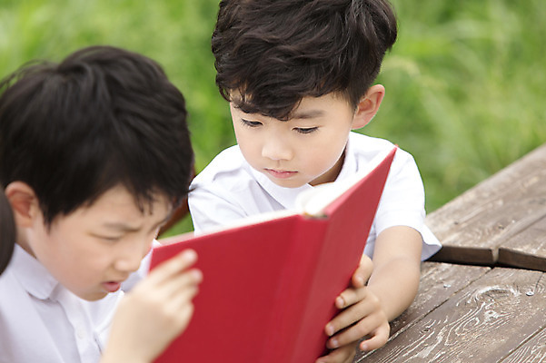 포토 JPG 주간 어린이교육 남자 어린이 사람 동양인 소년 상반신 야외 두명 책 친구 독서 유치원생 한국인 남자만 어린이만 소년만 국내포토 자연요소 교육 관계 인종 파일형식