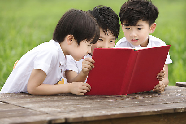 포토 JPG 주간 어린이교육 남자 어린이 사람 동양인 소년 상반신 야외 책 세명 친구 독서 유치원생 한국인 남자만 어린이만 소년만 국내포토 자연요소 교육 관계 인종 파일형식