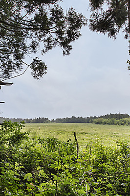 포토 JPG 주간 식물 자연 한국 풍경 잔디 사람없음 야외 제주도 물영아리오름 국내포토 자연요소 아시아 생태계 오름 파일형식