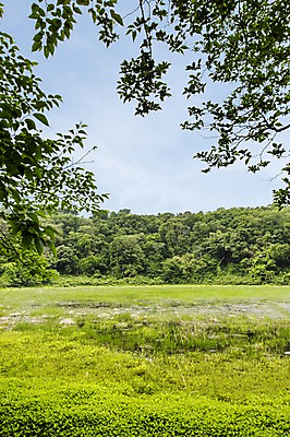 포토 JPG 주간 자연 한국 풍경 사람없음 야외 제주도 습지 물영아리오름 국내포토 자연요소 아시아 생태계 오름 파일형식
