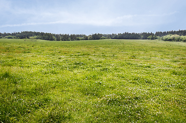 포토 JPG 주간 자연 한국 풍경 잔디 사람없음 야외 제주도 물영아리오름 국내포토 자연요소 식물 아시아 생태계 오름 파일형식