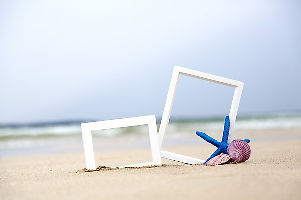 포토 JPG 주간 액자 조개 불가사리 한국 사람없음 야외 아웃포커스 모래사장 제주도 국내포토 자연요소 아시아 바다 어패류 극피동물 촬영기법 파일형식