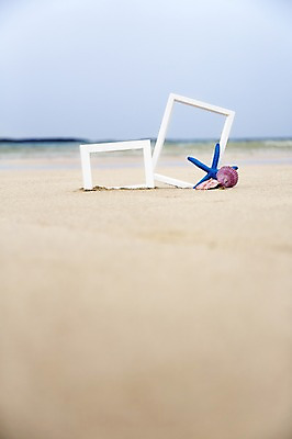 포토 JPG 주간 액자 조개 불가사리 한국 사람없음 야외 아웃포커스 모래사장 제주도 국내포토 자연요소 아시아 바다 어패류 극피동물 촬영기법 파일형식