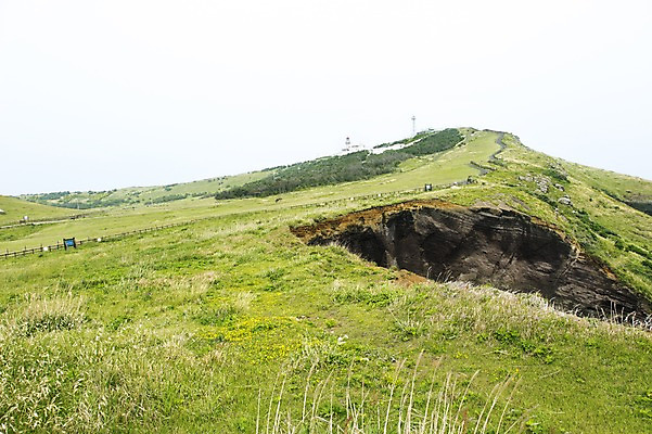 포토 JPG 주간 자연 한국 풍경 잔디 사람없음 야외 제주도 우도봉 국내포토 자연요소 식물 아시아 산 생태계 파일형식