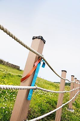 포토 JPG 주간 꽃밭 한국 사람없음 야외 울타리 제주도 올레길 우도봉 국내포토 자연요소 꽃 아시아 길 산 담장 파일형식
