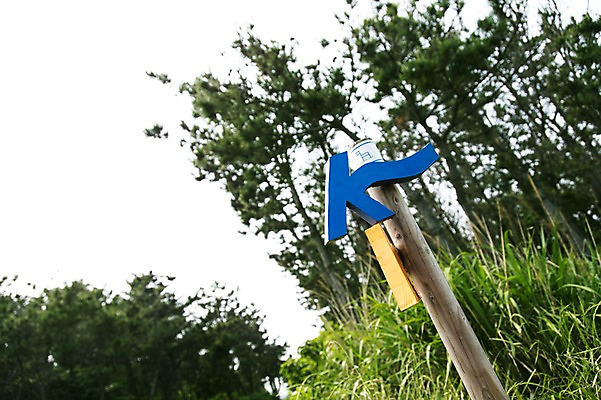 포토 JPG 주간 한국 사람없음 야외 아웃포커스 제주도 표지판 올레길 국내포토 자연요소 아시아 길 알림판 촬영기법 파일형식