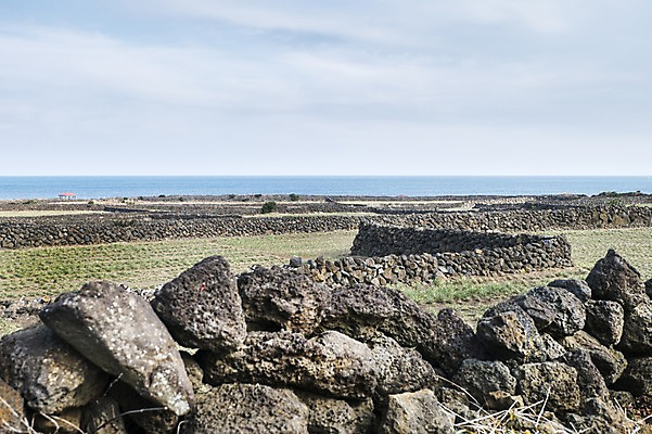포토 JPG 주간 한국 돌담 풍경 사람없음 야외 제주도 돌_바위 바위 국내포토 자연요소 아시아 담장 파일형식