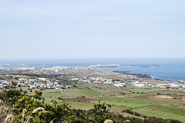 포토 JPG 주간 한국 풍경 사람없음 야외 제주도 마을 시골 국내포토 자연요소 아시아 파일형식