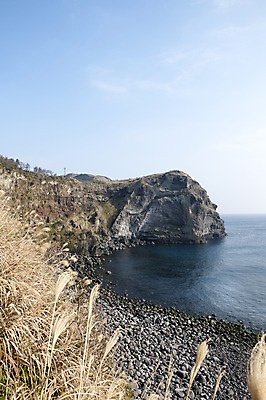 포토 JPG 주간 한국 풍경 사람없음 야외 제주도 억새 우도봉 국내포토 자연요소 식물 아시아 산 파일형식