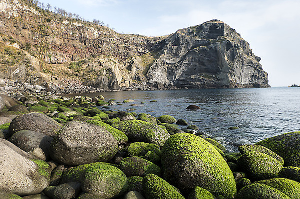 포토 JPG 주간 바다 한국 이끼 풍경 사람없음 야외 제주도 돌_바위 바위 우도봉 국내포토 자연요소 아시아 산 파일형식