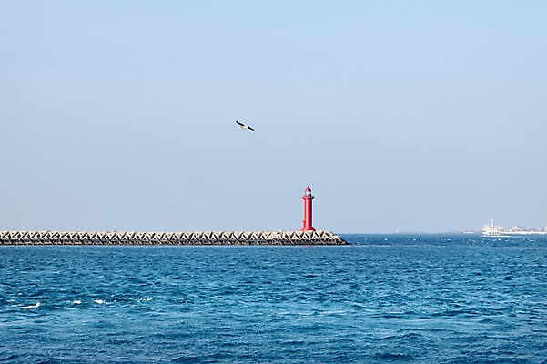 포토 JPG 주간 바다 한국 등대 풍경 사람없음 야외 제주도 국내포토 자연요소 아시아 파일형식