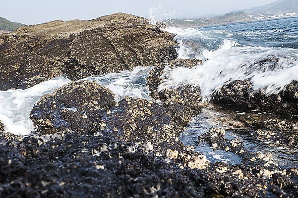 포토 JPG 주간 파도 한국 풍경 사람없음 야외 제주도 돌_바위 바위 용머리해안 국내포토 자연요소 아시아 바다 서귀포 파일형식