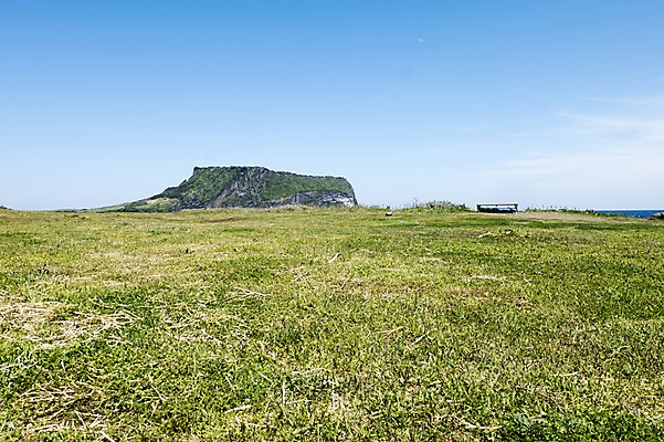 포토 JPG 주간 한국 풍경 잔디 사람없음 야외 제주도 성산일출봉 국내포토 자연요소 식물 아시아 서귀포 파일형식