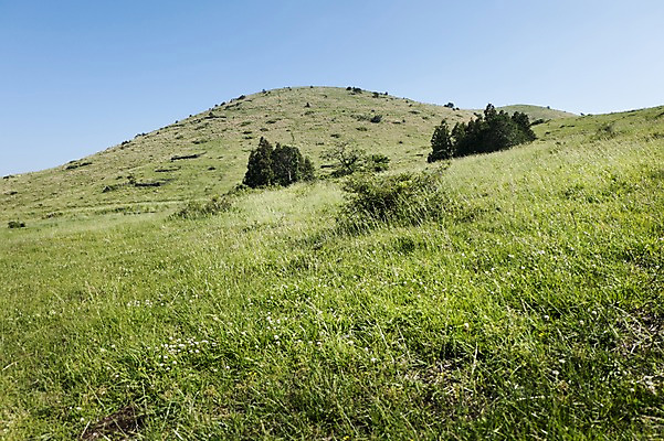 포토 JPG 주간 자연 한국 풍경 잔디 사람없음 야외 제주도 용눈이오름 국내포토 자연요소 식물 아시아 산 생태계 파일형식