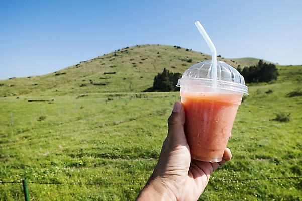 포토 JPG 주간 손 음료 한국 한명 들기 사람 풍경 잔디 야외 신체부위 제주도 국내포토 자연요소 식물 1 아시아 모션 파일형식