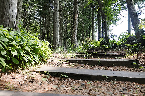 포토 JPG 주간 길 자연 한국 풍경 사람없음 야외 제주도 물영아리오름 푸른숲 국내포토 자연요소 아시아 숲 생태계 오름 파일형식