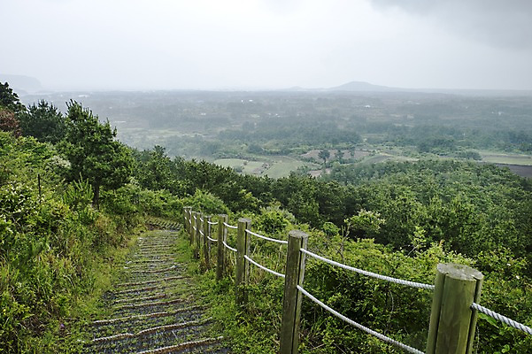 포토 JPG 주간 나무 자연 한국 풍경 사람없음 야외 제주도 두산봉 올레길 국내포토 자연요소 식물 아시아 길 생태계 파일형식