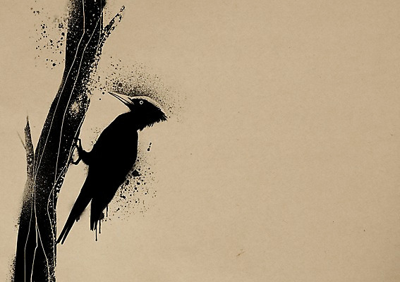 PSD 동물 한마리 백그라운드 일러스트 조류 붓터치 잉크 사람없음 먹 동물보호 멸종위기동물 딱따구리 국내일러스트 멸종위기종 1 서예 사회이슈 파일형식