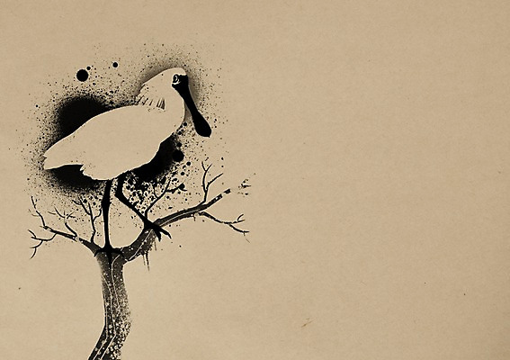 PSD 동물 한마리 백그라운드 일러스트 조류 붓터치 잉크 사람없음 먹 동물보호 멸종위기동물 저어새 국내일러스트 멸종위기종 1 서예 사회이슈 파일형식