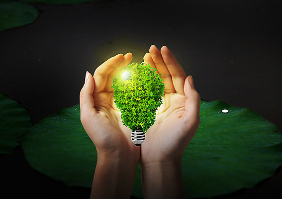 PSD 식물 편집이미지 손 캠페인 잎 비즈니스 전구 신체부위 빛 자연보호 그린캠페인 에너지 양손 그린에너지 이미지편집 자연 사람 보호 파일형식