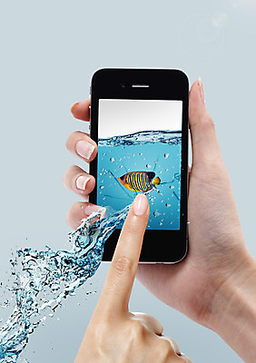 PSD 동물 편집이미지 손 캠페인 비즈니스 어류 들기 신체부위 물 스마트폰 자연보호 그린캠페인 터치 물방울 가리킴 열대어 튀는물 이미지편집 자연요소 모션 자연 사람 손짓 핸드폰 스마트기기 수중동물 보호 액체표현 스플래쉬 파일형식