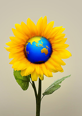 PSD 식물 편집이미지 꽃 지구 캠페인 세계지도 지도 비즈니스 자연 해바라기 사람없음 자연보호 그린캠페인 이미지편집 세계 보호 생태계 파일형식