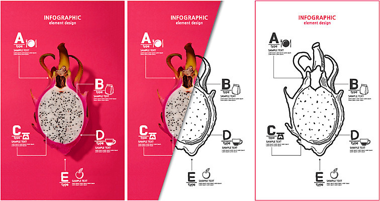 편집 편집이미지 음식 분홍색 컬러 백그라운드 과일 포토일러 그래프 사람없음 자료 인포그래픽 비교 합성 타입 용과 이미지편집 AI파일 컨셉 파일형식 벡터