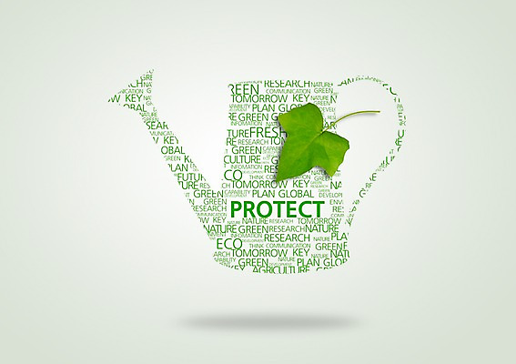 PSD 식물 편집이미지 캠페인 컬러 자연 나뭇잎 사람없음 초록색 자연보호 그린캠페인 물뿌리개 에코 프로젝트 이미지편집 잎 환경 보호 생태계 파일형식